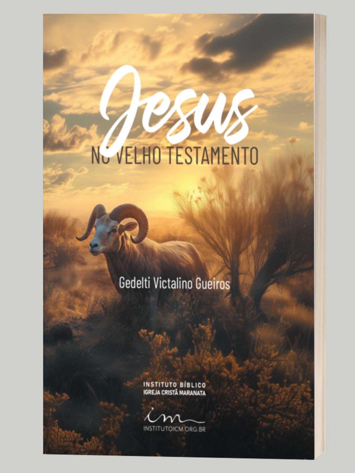 jseus-velho-testamento-capa-site